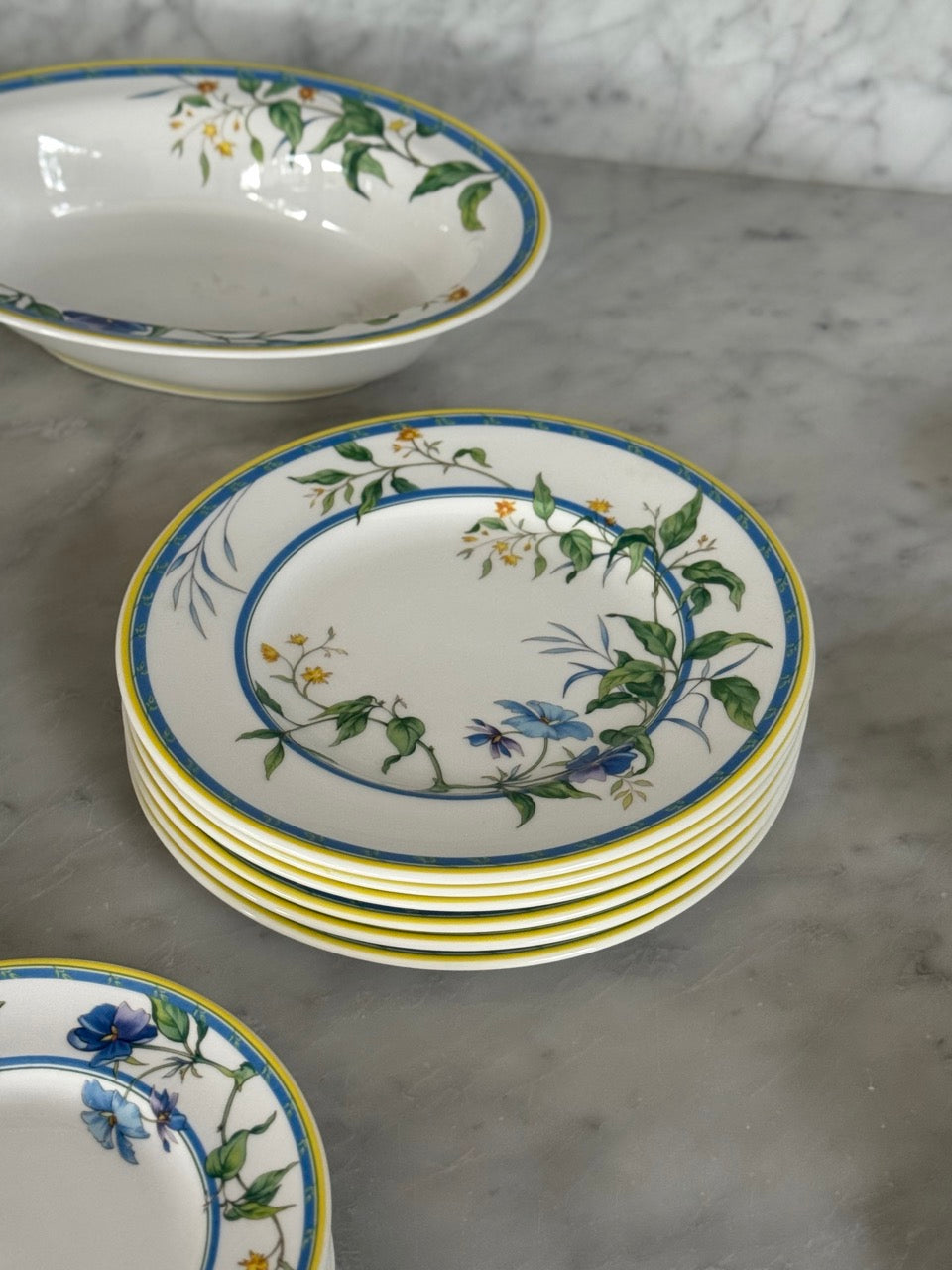 Royal Worcester Pastorale Dinner Set