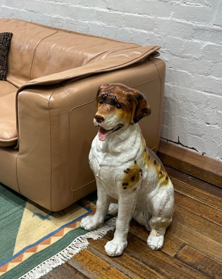 Saint Bernard Dog