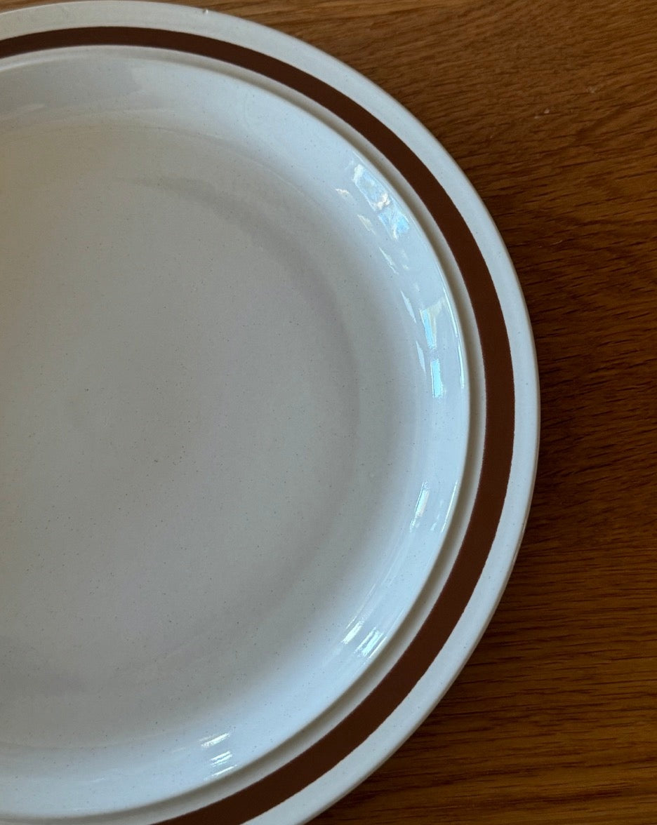 Set of Stoneware Dinner Plates by Four Seasons