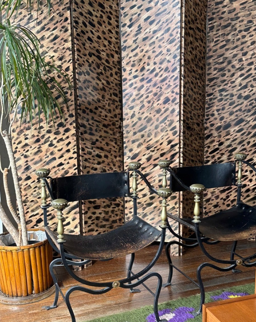 Designer Screen in Leopard