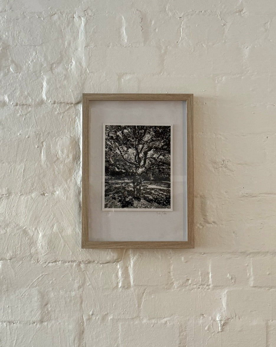 Framed Photo from Vogue, Australia by Monty Coles