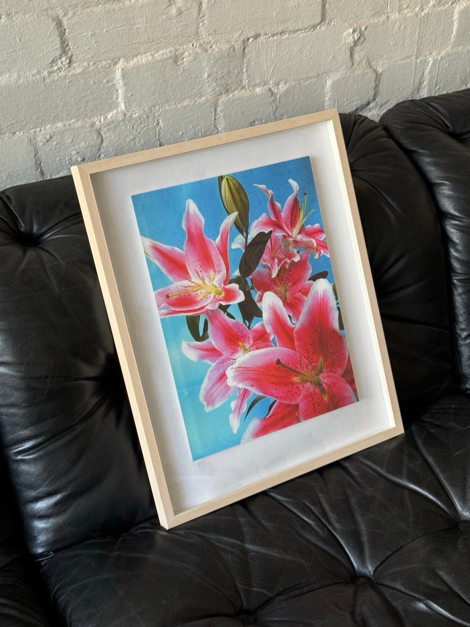 Flowers on Film by Monty Coles