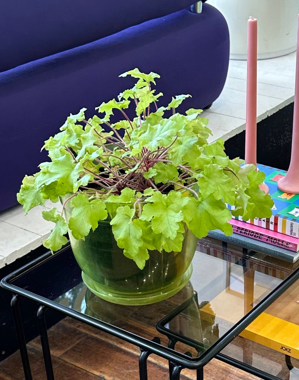 Green Pot Planter