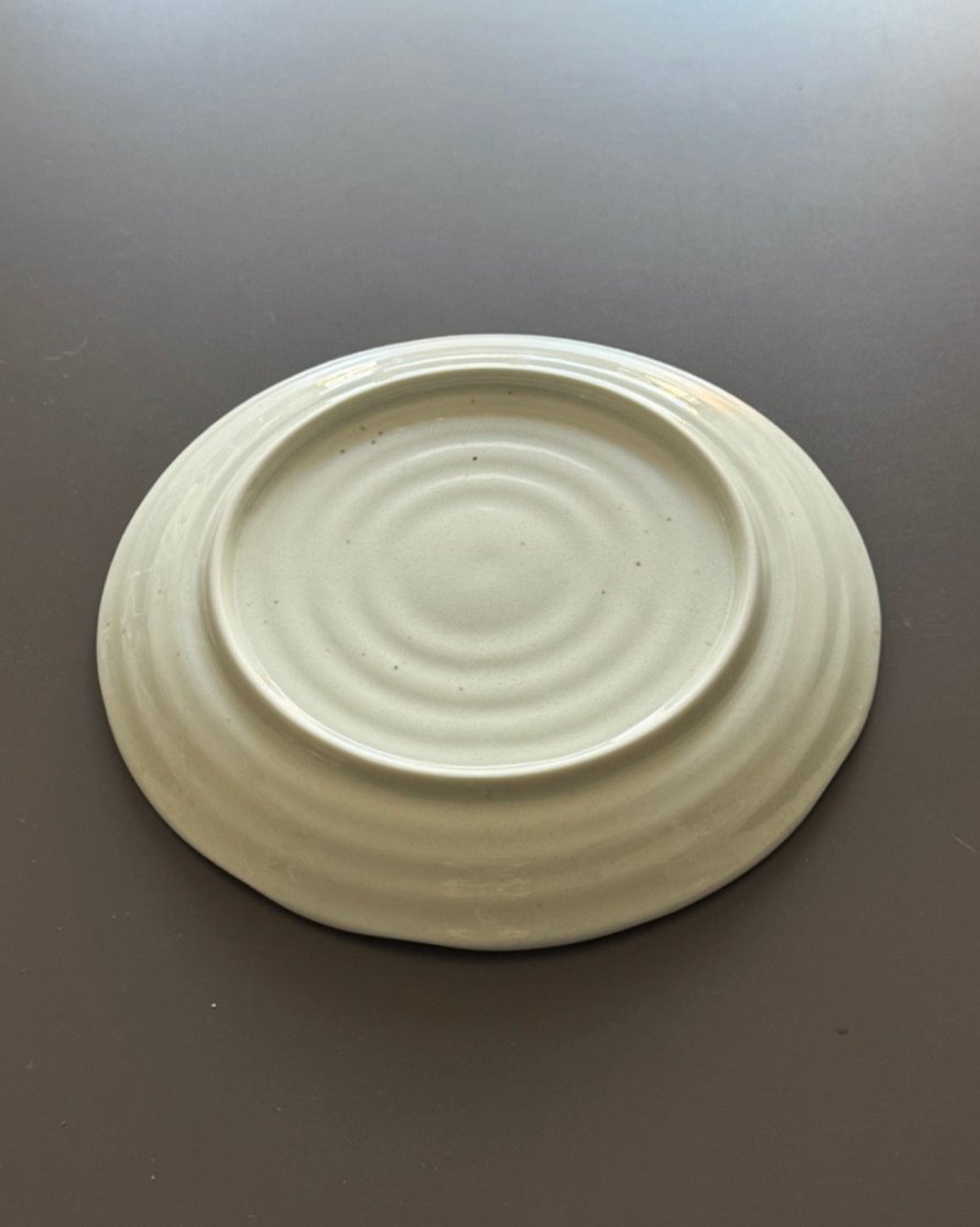 Set of 5 Ceramic Plates