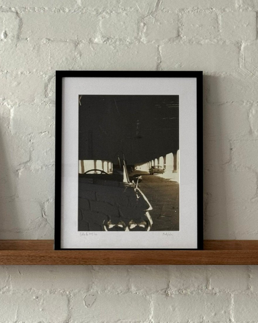 'Godzilla' by Monty Coles