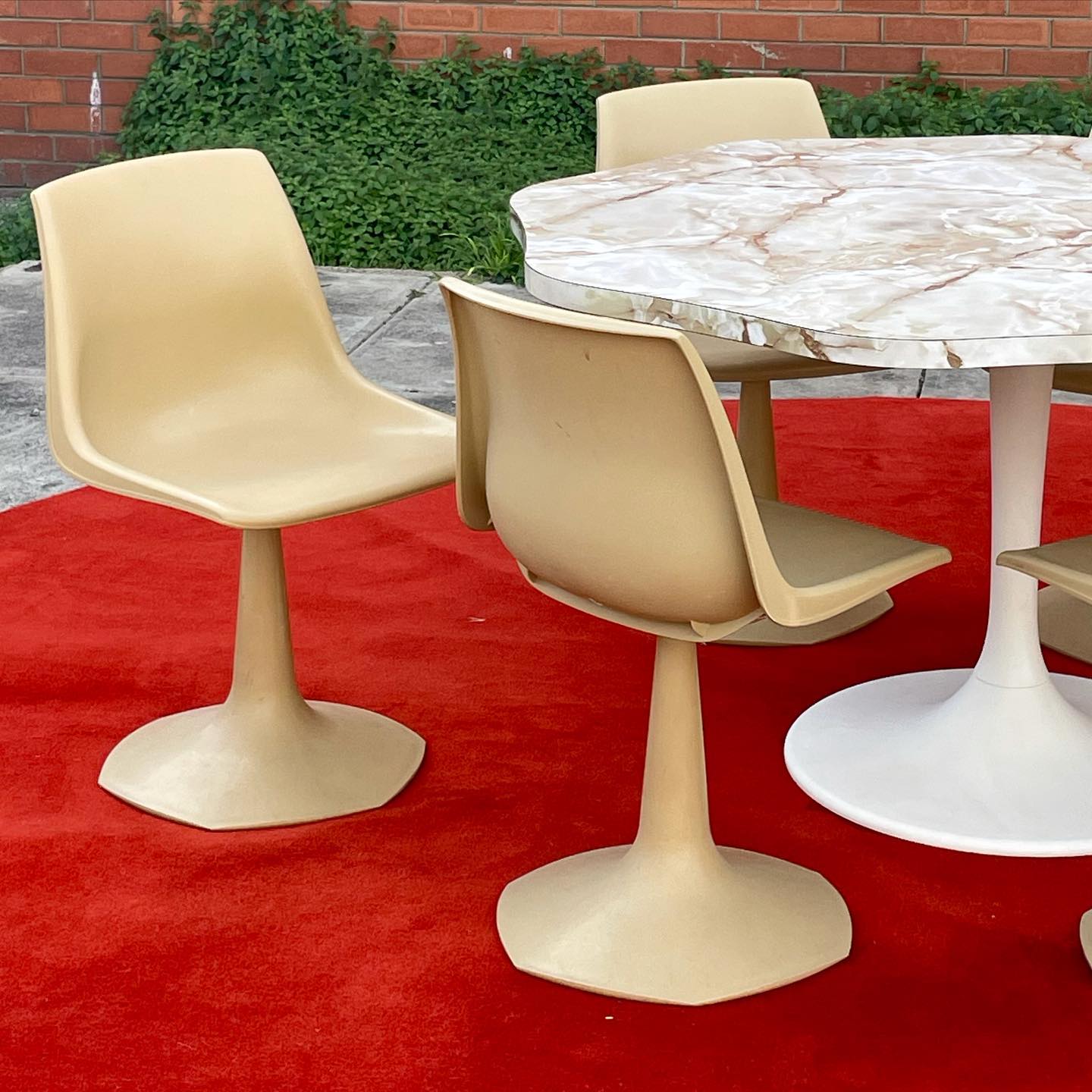 Hobnob Tulip Chair