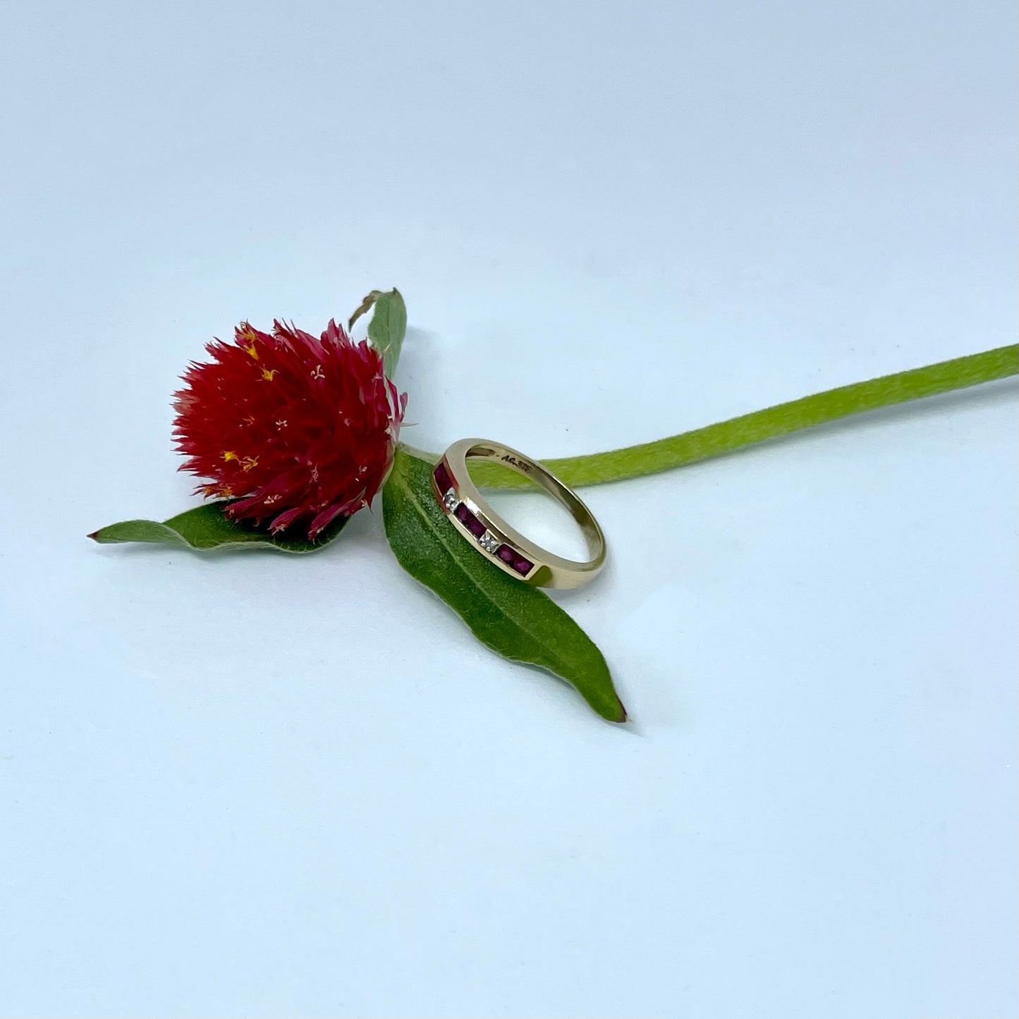 9CT Gold Ruby and Diamond Band Ring