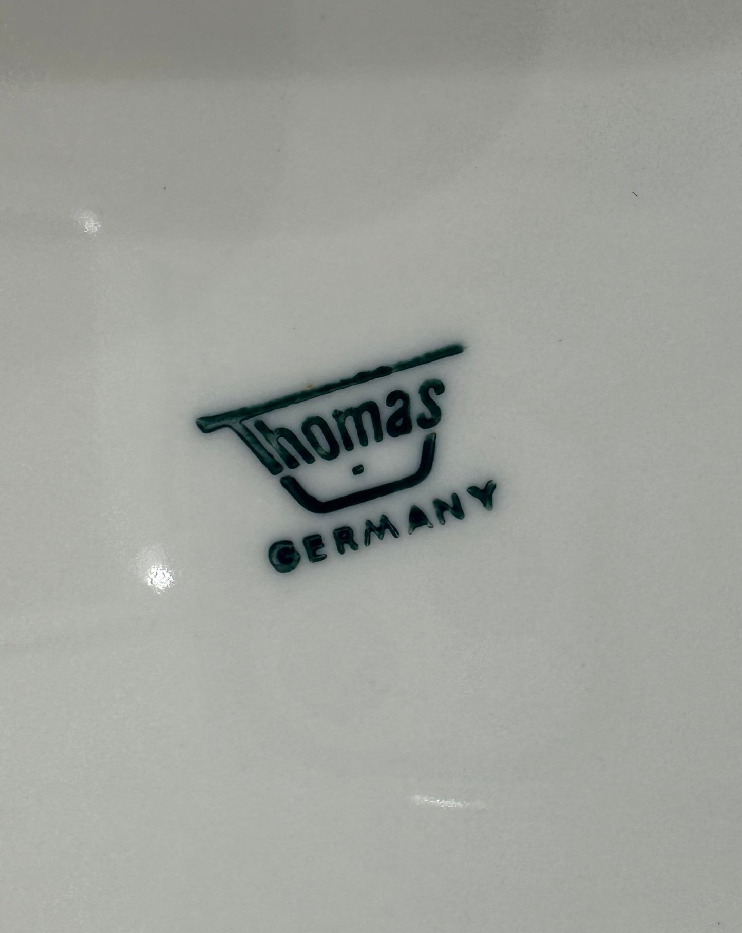 Vintage Thomas Dinner Plates (set of 6)