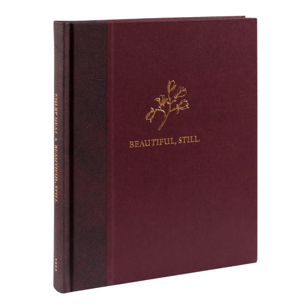 Beautiful, Still by Colby Deal