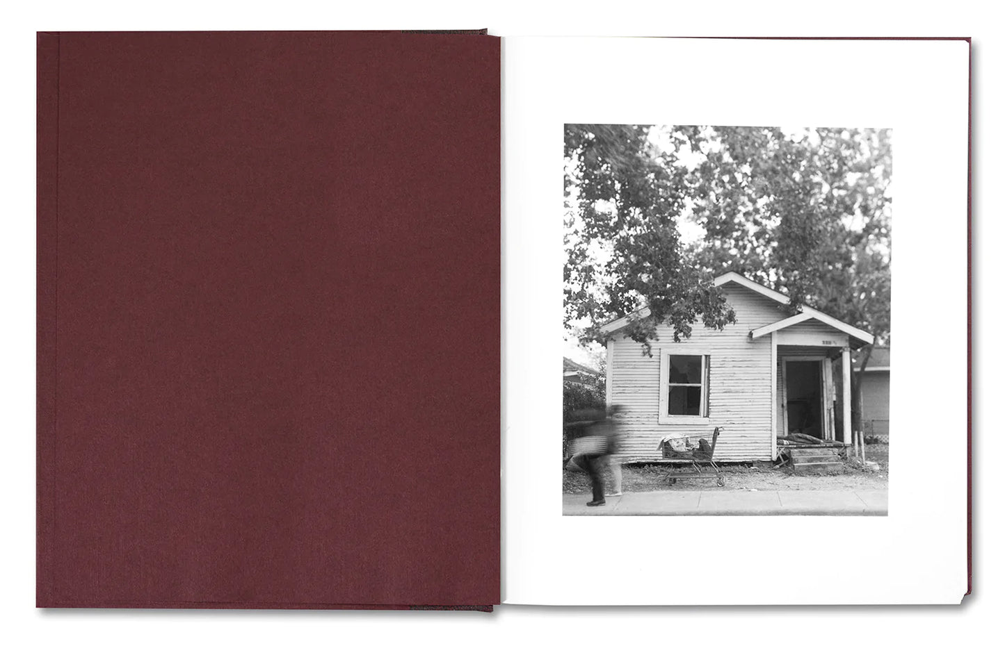 Beautiful, Still by Colby Deal