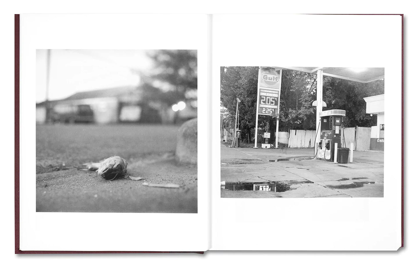Beautiful, Still by Colby Deal