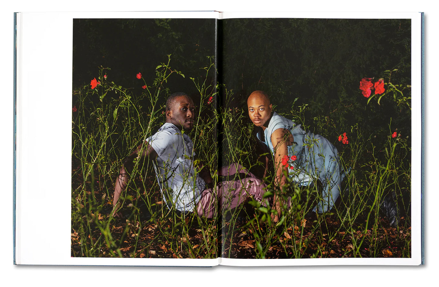 Contact High by D’Angelo Lovell Williams