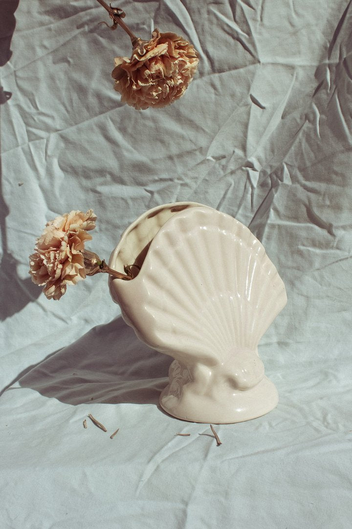 Veneridae Vase