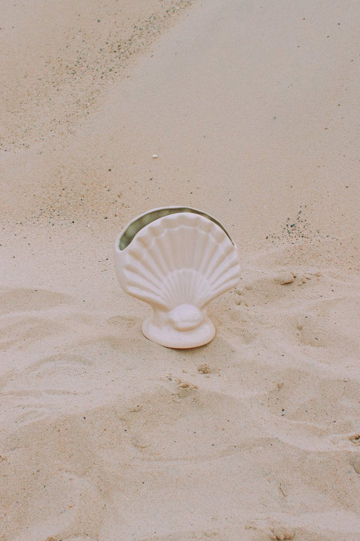 Veneridae Vase