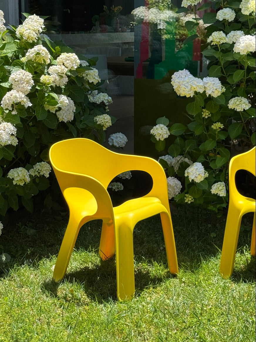 Set of 8 Yellow 'Easy' Chairs designed by Jerszy Seymour for Magis, Italy, 2004