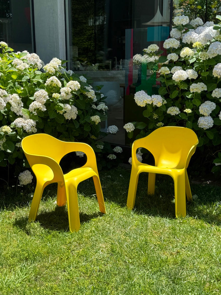Set of 8 Yellow 'Easy' Chairs designed by Jerszy Seymour for Magis, Italy, 2004