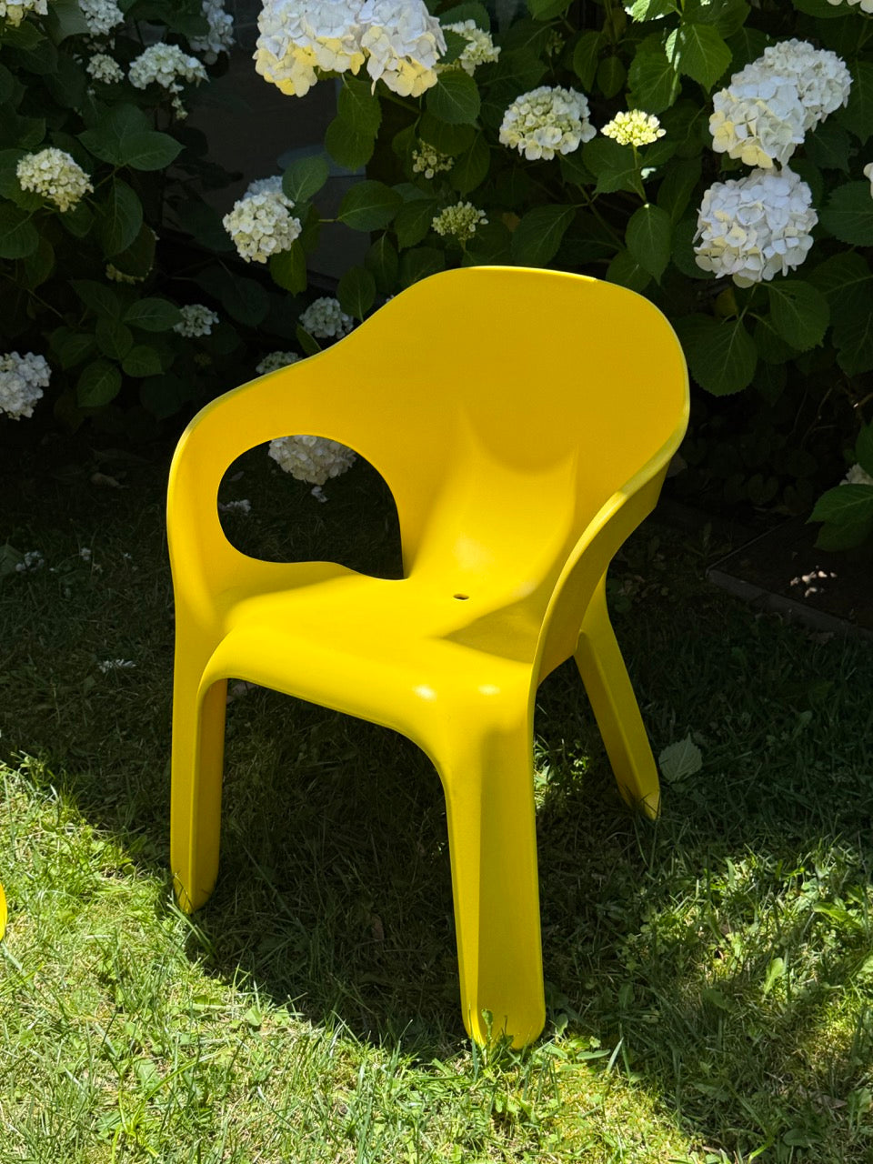 Set of 8 Yellow 'Easy' Chairs designed by Jerszy Seymour for Magis, Italy, 2004