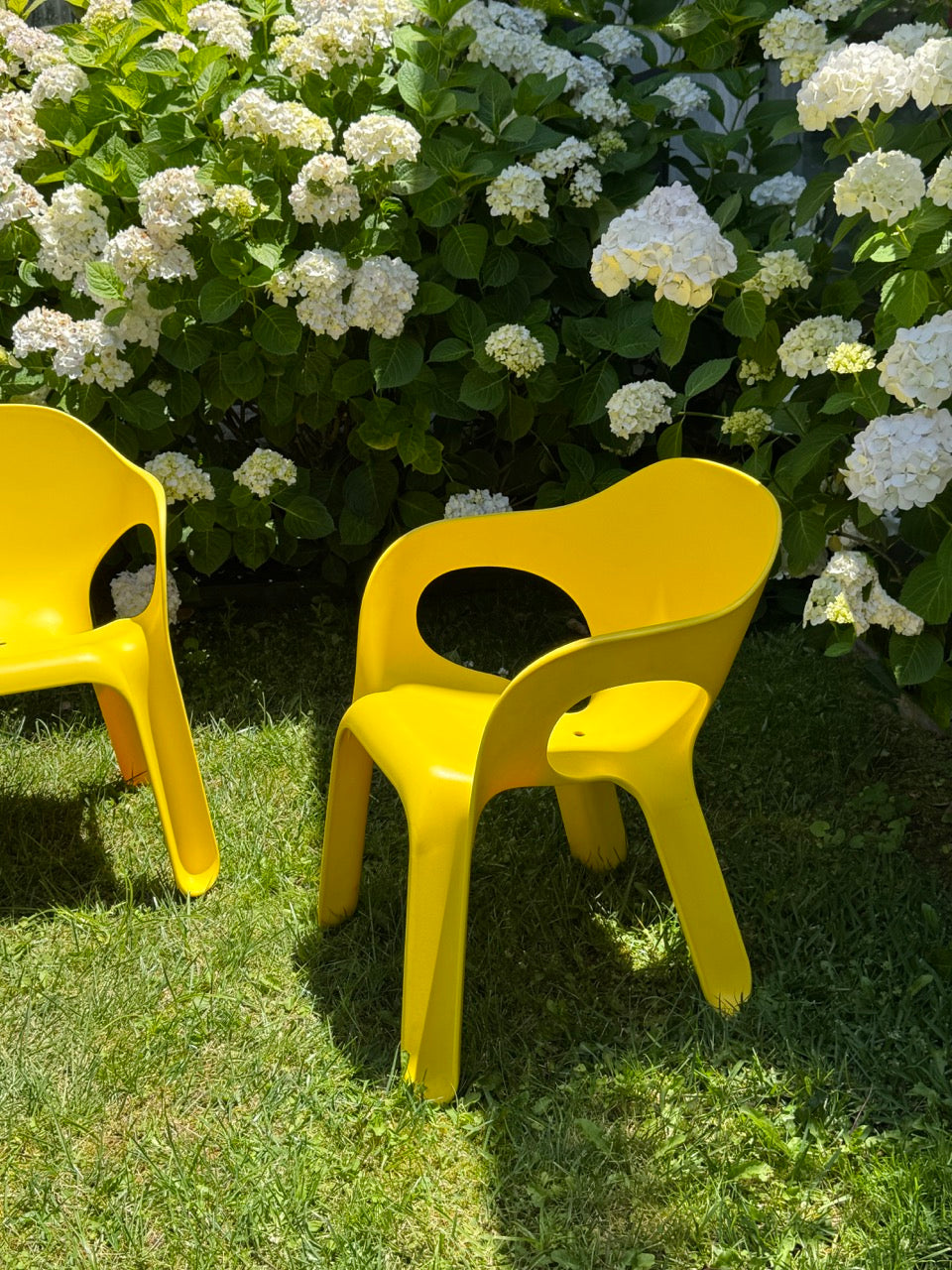 Set of 8 Yellow 'Easy' Chairs designed by Jerszy Seymour for Magis, Italy, 2004