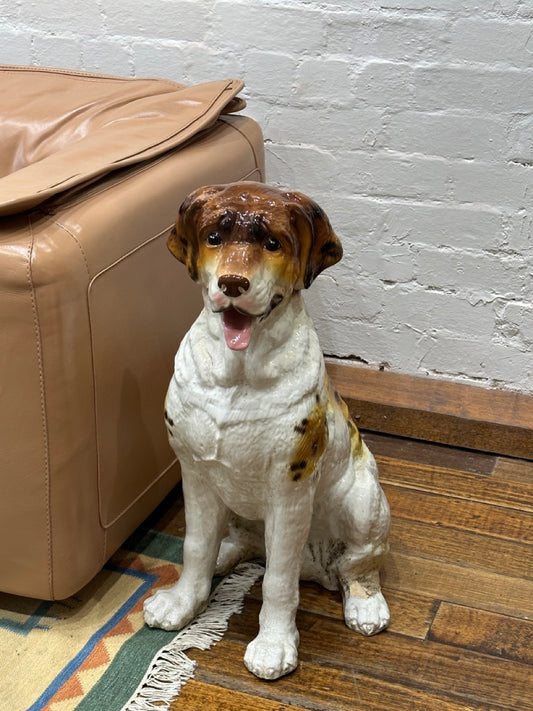 Saint Bernard Dog