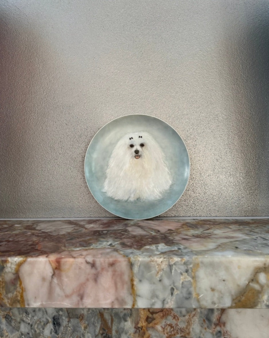 Maltese Dog Decorated Plate