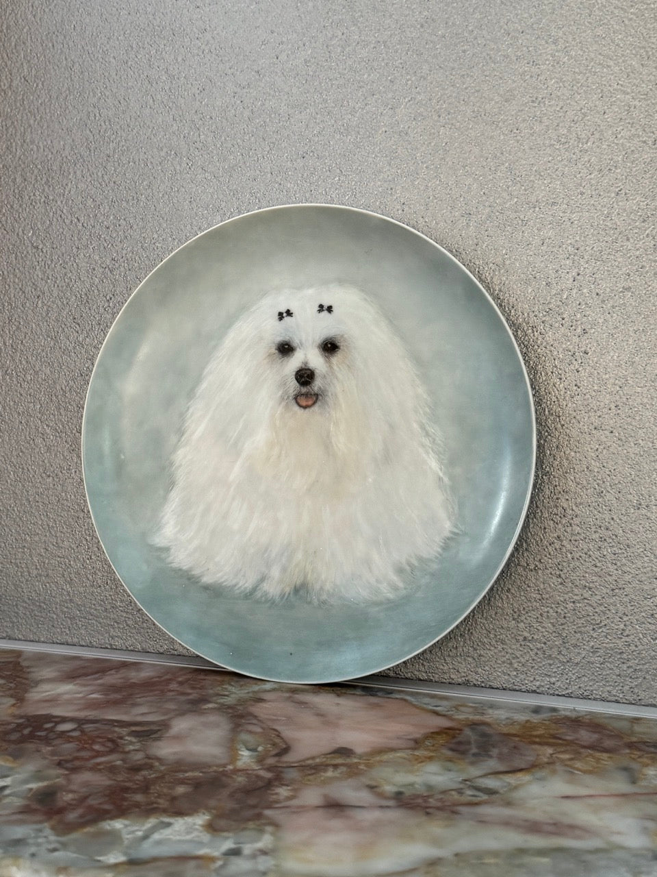 Maltese Dog Decorated Plate