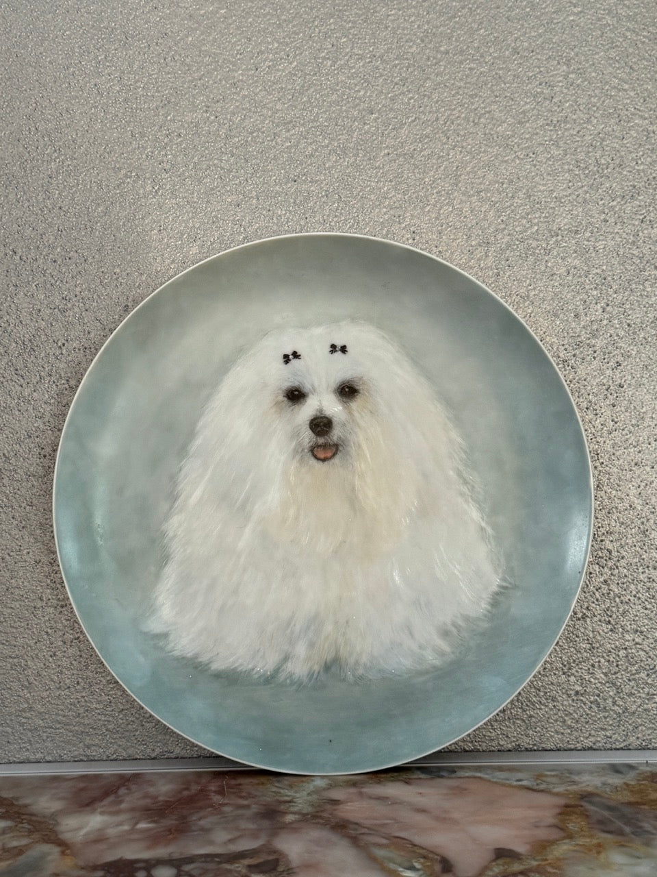 Maltese Dog Decorated Plate