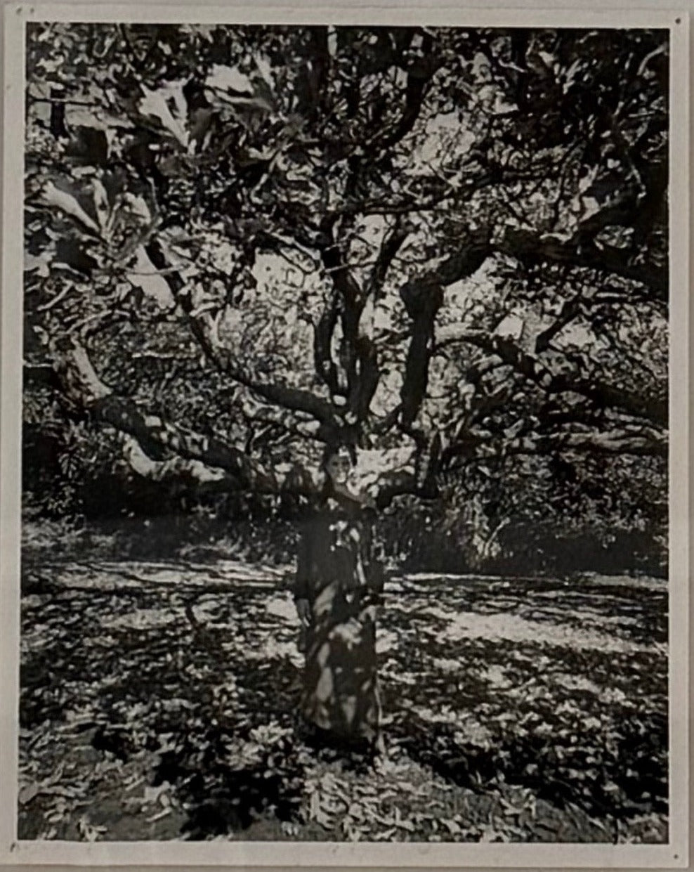 Framed Photo from Vogue, Australia by Monty Coles