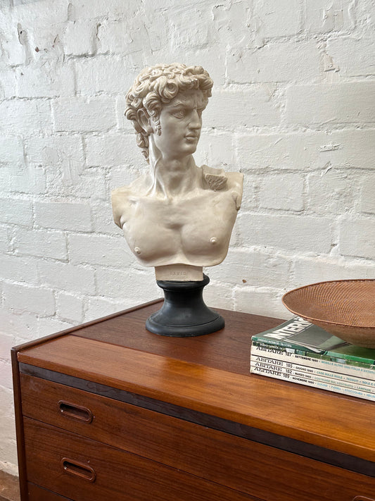 'DAVID' Bust