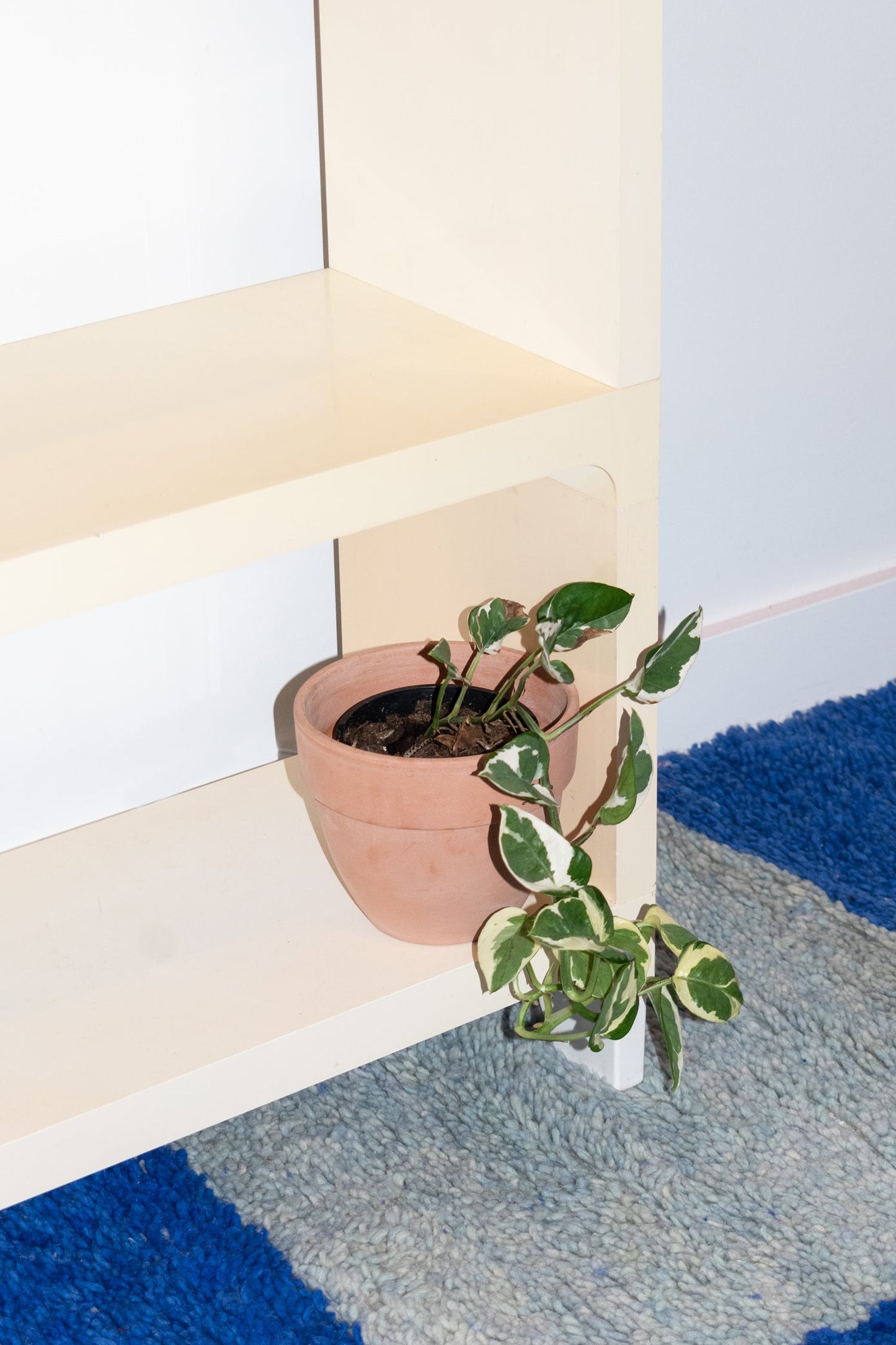 Modular Shelving Unit by Hostess